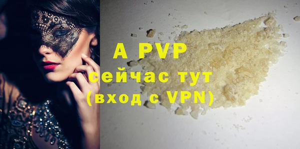 apvp Белокуриха