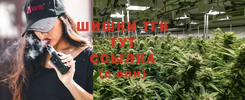 Конопля THC 21%  цены наркотик  Ветлуга 